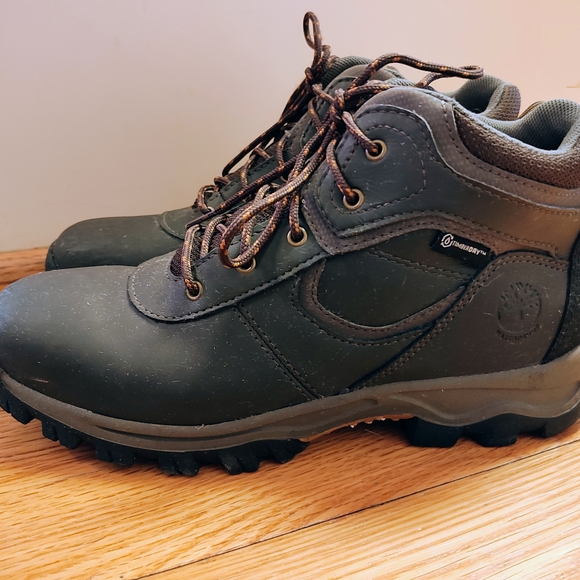 Timberland Other - Timberland Men's Brown Hiking Boots